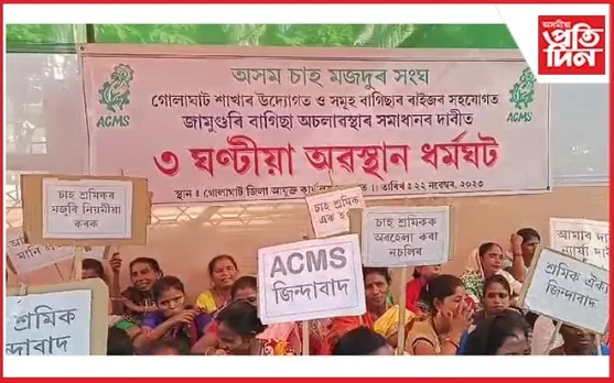 গোলাঘাটৰ জামুগুৰি চাহ বাগিচাত অচলাৱস্থা, প্ৰতিবাদত বহিল একাংশ