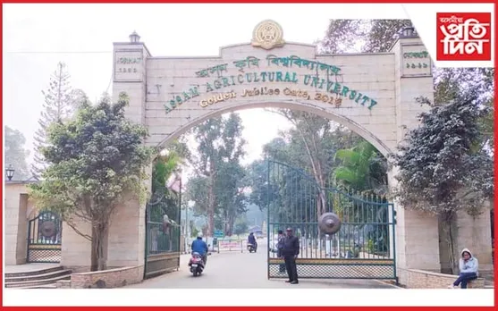 অসম কৃষি বিশ্ববিদ্যালয়ৰ অভিলাসী আঁচনি : ৬,৯০০ বিঘা কৃষিভূমিত টৰিয়া-সৰিয়হৰ খেতিৰে হালধীয়া বিপ্লৱৰ লক্ষ্য