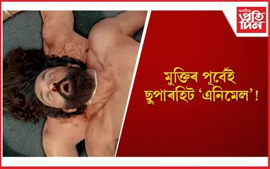 ৰণবীৰ-ৰশ্মিকাৰ যুটি, ববী দেউলৰ ‘কামবেক’ক লৈ উৎসুক হৈ পৰিছে অনুৰাগী