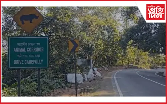 কাজিৰঙাৰ বুঢ়াপাহাৰত তীব্ৰ বেগী বাহনৰ খুন্দাত দুষ্প্ৰাপ্য টুপিমুৰীয়া বান্দৰৰ মৃত্যু...