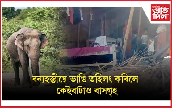 বিশ্বনাথৰ বালিপুখুৰীত বন্যহস্তীৰ তাণ্ডৱঃ ভাঙি লণ্ড-ভণ্ড কৰিলে কেইবাটাও বাসগৃহ...