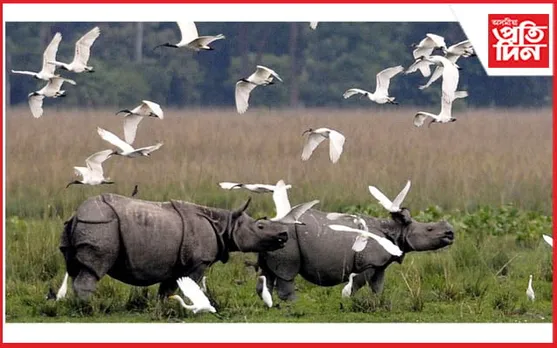 ৯,১০ জানুৱাৰীত কাজিৰঙাত পক্ষী উৎসৱঃ বেচৰকাৰী সংস্থাক লৈ পক্ষী গণনাৰ বিৰুদ্ধে প্ৰতিক্ৰিয়া...