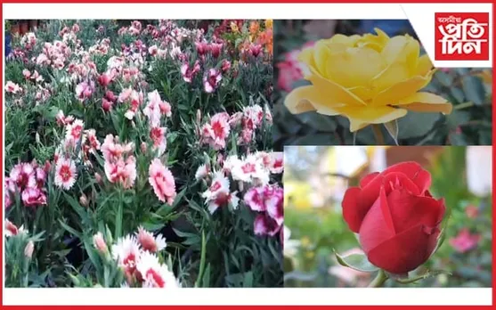 নানা ৰঙী ফুলে হাত বাউল দি মাতিছে খুমটাইৰ যোগীবাৰীলৈ