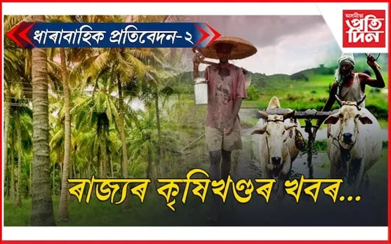 নামত আছে নাৰিকল উন্নয়ন ব'ৰ্ডঃ কৃষকেই নাজানে কাৰ্যালয় ক'ত !