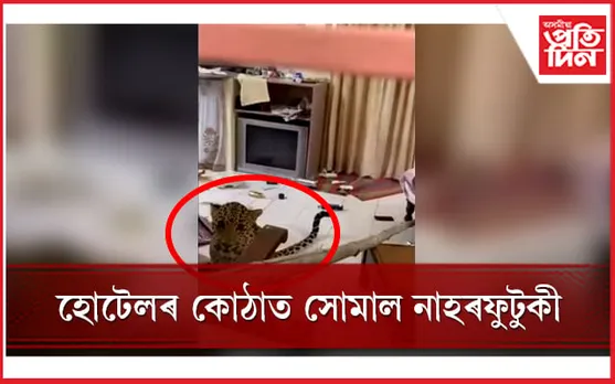 পথ হেৰুৱাই নামী-দামী হোটেলত নিশা কটালে নাহৰফুটুকীয়ে