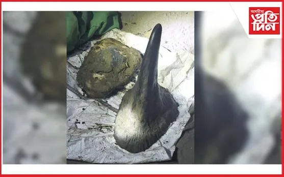 কাজিৰঙাত গঁড় নিধনৰ গাপ দিয়া তথ্য ফাদিল : ২২তাৰিখে নিধন হৈছিল দুটা গঁড়, এতিয়াও উদ্ধাৰ হোৱা নাই এটা খৰ্গ