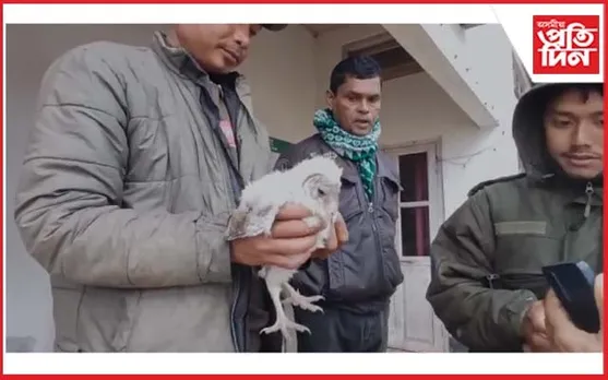 কঠীয়াতলীত লক্ষ্মী ফেঁচা উদ্ধাৰ