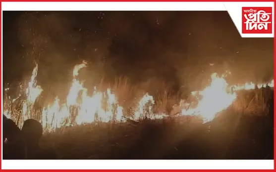 ধেমাজি জীয়াঢল বনাঞ্চলত বিধংসী অগ্নিকাণ্ড...