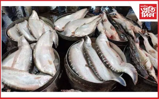 মঙলদৈৰ বজাৰত ২০/২২ কেজি ওজনৰ মাছঃ মূল্য হ্ৰাস হোৱালৈ অপেক্ষা ৰাইজৰ