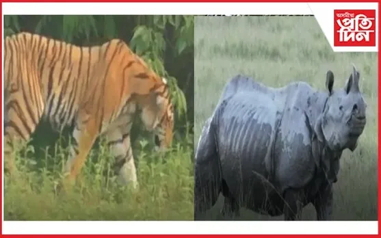 ধন খৰচ নকৰাকৈ উপভোগ কৰিব বিচাৰিছে নেকি কাজিৰঙাৰ সৌন্দৰ্য ? তেন্তে আহক এইখন গাঁৱলৈ...