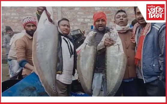 ৰাঙলু পাইকাৰী মাছৰ বজাৰত গ্ৰাহকৰ ভিৰ...