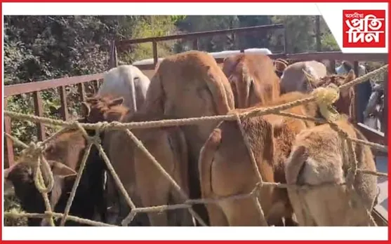 ঢকুৱাখনাত অতিষ্ঠ ৰাইজে জ্বলালে গৰু চোৰৰ বাইক
