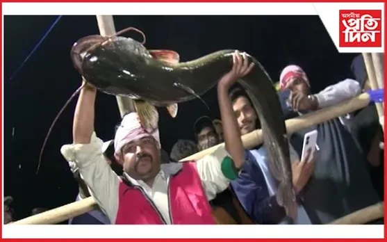 গুৱাহাটীত উৰুকাৰ বজাৰত ওলাইছে ৪০ কেজি ওজনৰ মাছ...