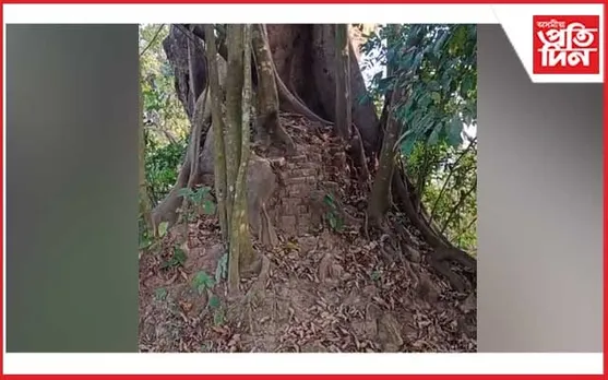 যোগ আৰু নেচাৰ’পেথি চিকিৎসালয় নিৰ্মাণে খামটি দৌলৰ অস্তিত্বত আঘাট সানিব নেকি?