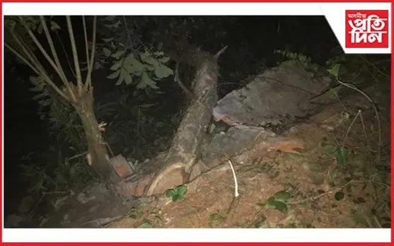 কার্যালয়ত অসুৰক্ষিত মূল্যৱান চৰকাৰী কাঠ ঠিকাদাৰৰ ঘৰতহে সুৰক্ষিত!