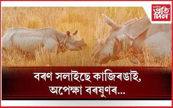 বসন্তৰ প্ৰাকক্ষণত বৰণ সলাইছে কাজিৰঙাই 