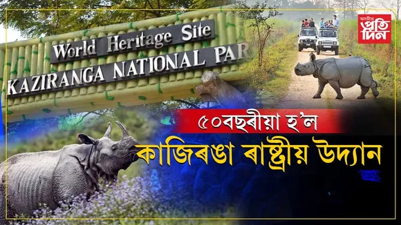 ৫০বছৰীয়া হ'ল কাজিৰঙা ৰাষ্ট্ৰীয় উদ্যান...