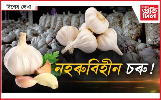 নহৰু !