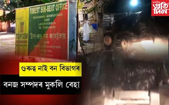 ঢকুৱাখনাত বন বিভাগৰ জ্ঞাতসাৰে বনজ সম্পদৰ চোৰাং বেহা...