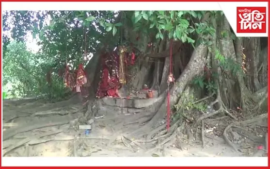 ইচ্ছাধাৰী নাগ-নাগিনে বাস কৰা নুমলীগড়ৰ পিঠালি পুখুৰী