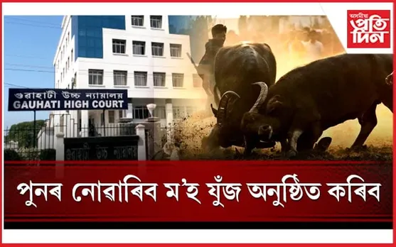 গুৱাহাটী উচ্চ ন্যায়ালয়ৰ কাঢ়া নিৰ্দেশ! অনুষ্ঠিত কৰিব নোৱাৰিব ম'হ যুঁজ
