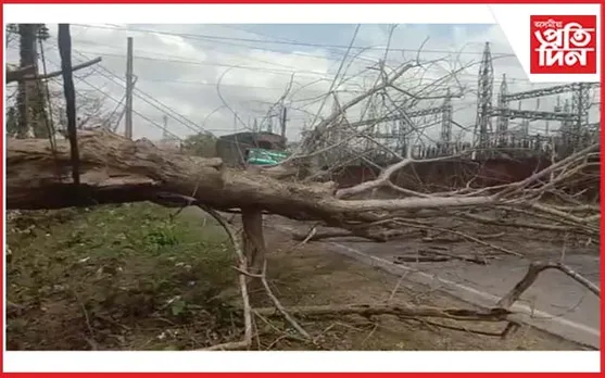 মাইবেলাত পথ ওপৰত বাগৰিল প্ৰকাণ্ড গছ