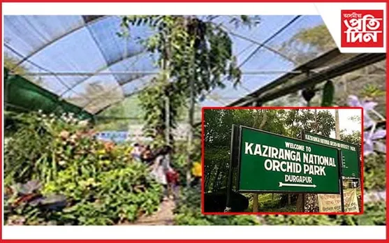 কাজিৰঙাৰ অৰ্কিড উদ্যানে আনিছে বহাগৰ বতৰা