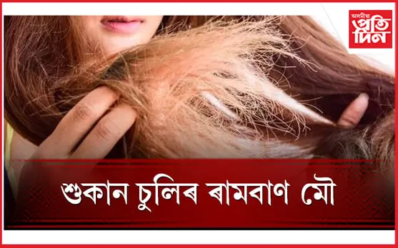 চুলিত কিদৰে মৌ ব্যৱহাৰ কৰিব লাগে জানি লওঁক