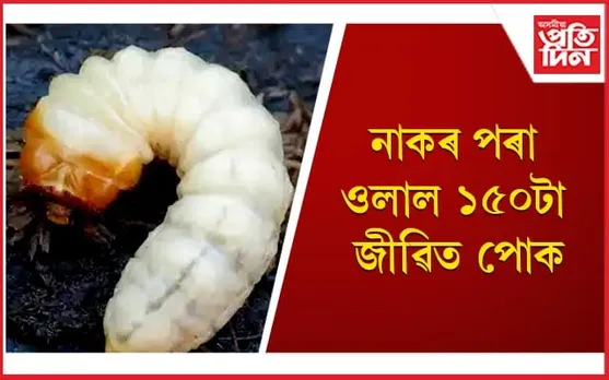 ছ’চিয়েল মেডিয়াত ভাইৰেল এজন ব্যক্তিৰ শিহৰণকাৰী ভিডিঅ’