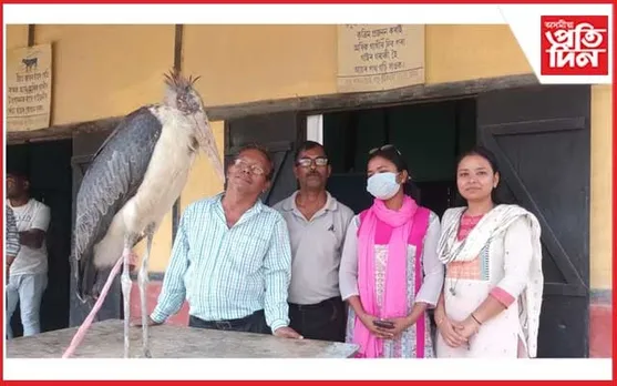 কামপুৰত অসুস্থ অৱস্থাত বৰটোকোলা উদ্ধাৰ 