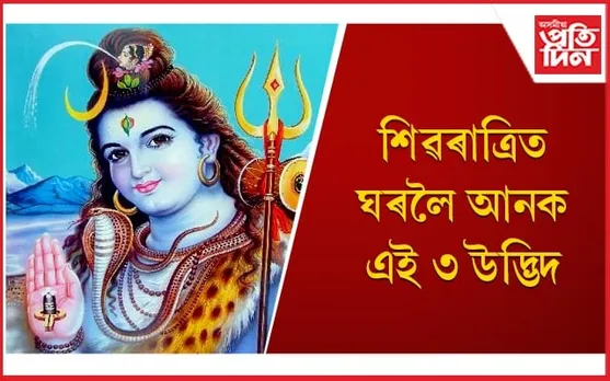 ঘৰত সুখ-শান্তি বৰ্তি থাকিবলৈ কৰক এই কাম 