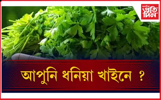 বহু গুৰুতৰ শাৰিৰীক সমস্যাৰ সমাধান দিয়ে ধনিয়া পাতে
