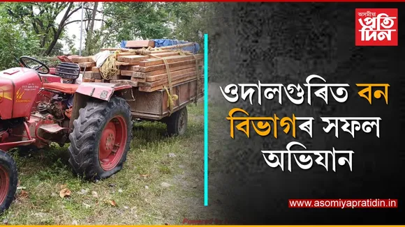 ওদালগুৰিৰ মাজবাট আঞ্চলিক বন বিভাগৰ সফল অভিযান...