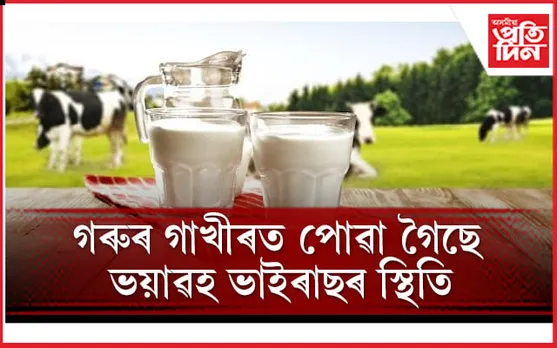 বিশ্ব স্বাস্থ্য সংস্থাই জাৰি কৰিছে সতৰ্কবাণী, সাৱধান হওঁক