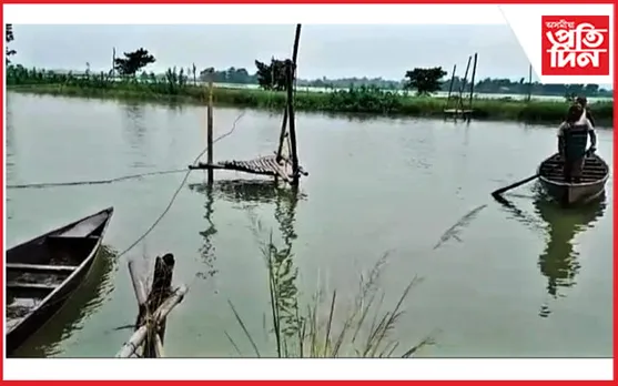 ঘিলামৰাত থলুৱা মাছৰ চোৰাং চিকাৰ...