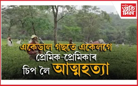 ডুমডুমাত যুৱক-যুৱতীৰ একেলগে চিপ লৈ আত্মহত্যা...