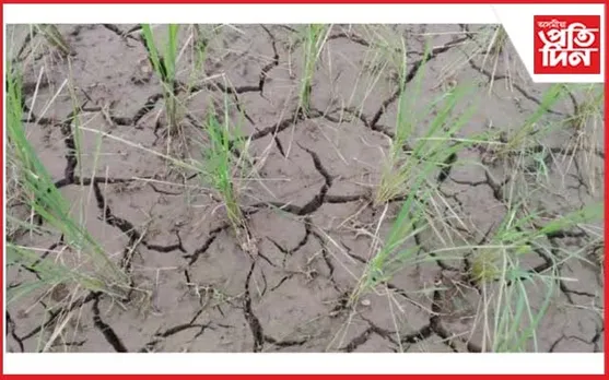 পথাৰত নাই পানীঃ বৃহত্তৰ ৰঙিয়াৰ খেতিয়কৰ মাজত হাহাকাৰ...