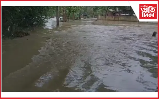 কামপুৰত অৱ্যহাত আছে বানৰ সংহাৰী ৰূপ : ব্যাহত হৈ পৰিছে যাতায়ত