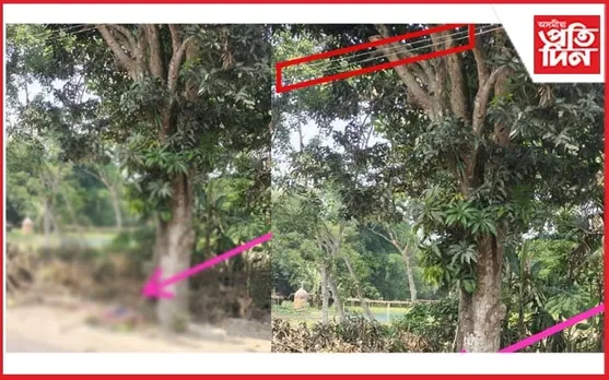 মঙলদৈত আম পাৰিবলৈ গৈ বিদ্যুৎস্পৃষ্ট হৈ এজনৰ মৃত্যু...