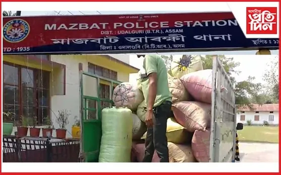 অসম-অৰুণাচল সীমান্তৰ পৰা প্ৰায় ৪ কোটি টকাৰ গাঞ্জা জব্দ...