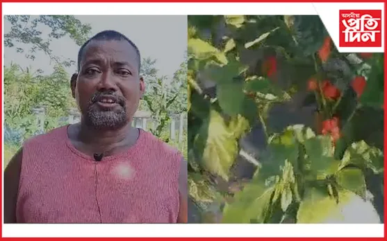 ভোট জলকীয়া,ড্ৰেগন ফল আদিৰে স্বাৱলম্বিতাৰ নিদৰ্শন দাঙি ধৰিছে নয়ন গয়াৰী আৰু বিমল নাৰ্জাৰীয়ে
