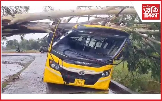 ঢেকীয়াজুলি ছেইন্ট উৰ্চুলা হাইস্কুলৰ বাছৰ ওপৰত বাগৰিল প্ৰকাণ্ড গছঃ আহত কেইবাগৰাকী ছাত্ৰ-ছাত্ৰী