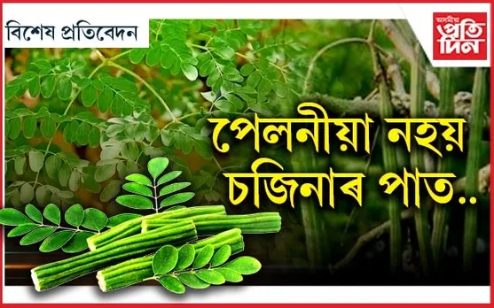এলাগী নহয় চজিনা পাতঃ মহিলাৰ বাবে মহৌষধ
