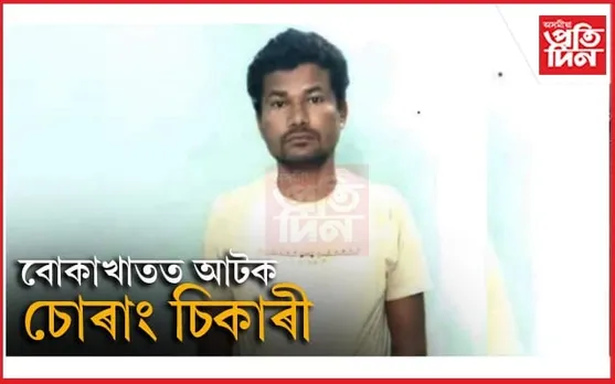 বোকাখাতত আটক চোৰাং চিকাৰীঃ সজীৱ গুলী উদ্ধাৰ...