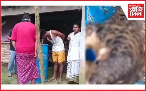 নামতিৰ শালকাঠনিত দুষ্প্ৰাপ্য বনৰৌ উদ্ধাৰ