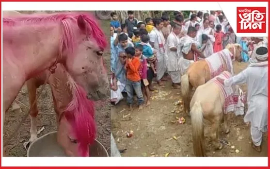 ভগৱানৰূপী বগা ঘোঁৰাৰ কাহিনীৰ যৱনিকা..