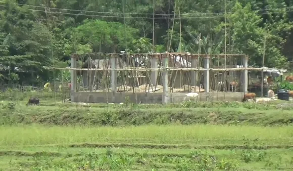 তিতাবৰ বেকাজানৰ চেনিজানত নগাৰ পকী ঘৰ নিৰ্মাণক লৈ উত্তেজনা...