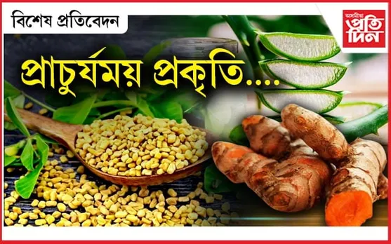 নালাগে যাব ফাৰ্মাচী,চোতালতে আছে জীৱনদায়িনী...