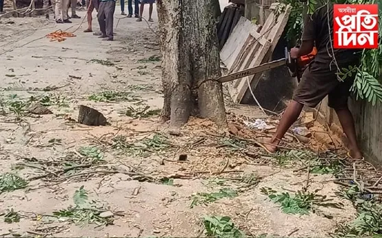 উদ্দেশ্য "পথ বহলীকৰণ": গোলাঘাটত গছ-গছনি কাটি খাস্তাং লোক নিৰ্মাণ বিভাগৰ