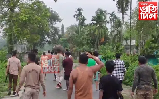 চাৰিদুৱাৰত বনৰীয়া হাতীয়ে  ত্ৰাহি মধুসুদন সোঁৱৰাইছে গঞা ৰাইজক...